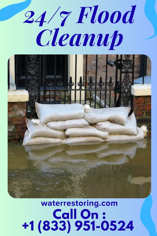 24/7 Flood Cleanup in Mount Olive, MS