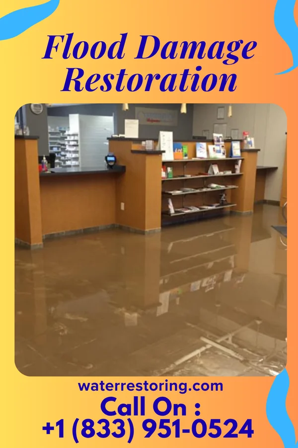 Flood Damage Restoration in Mount Olive, MS