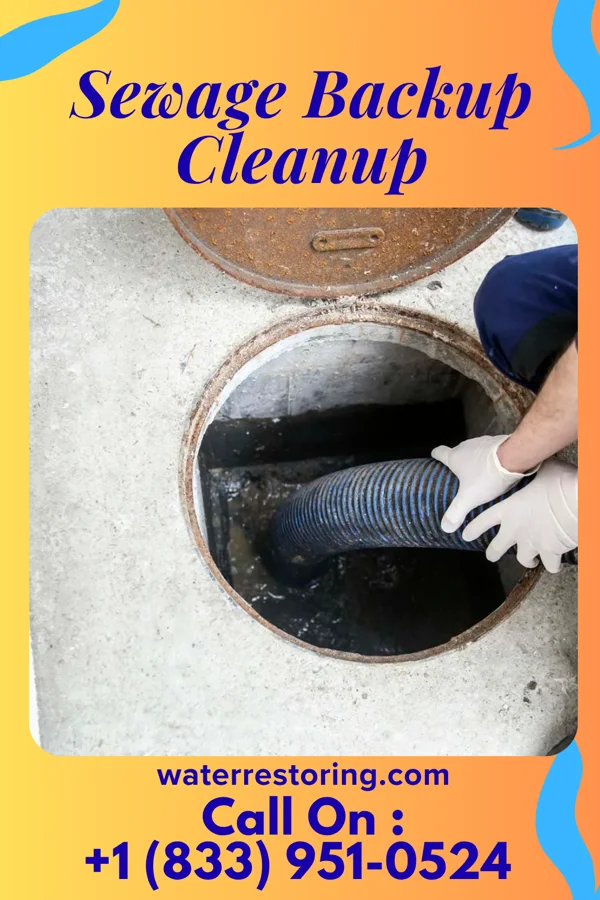 Sewage Backup Cleanup in Mount Olive, MS