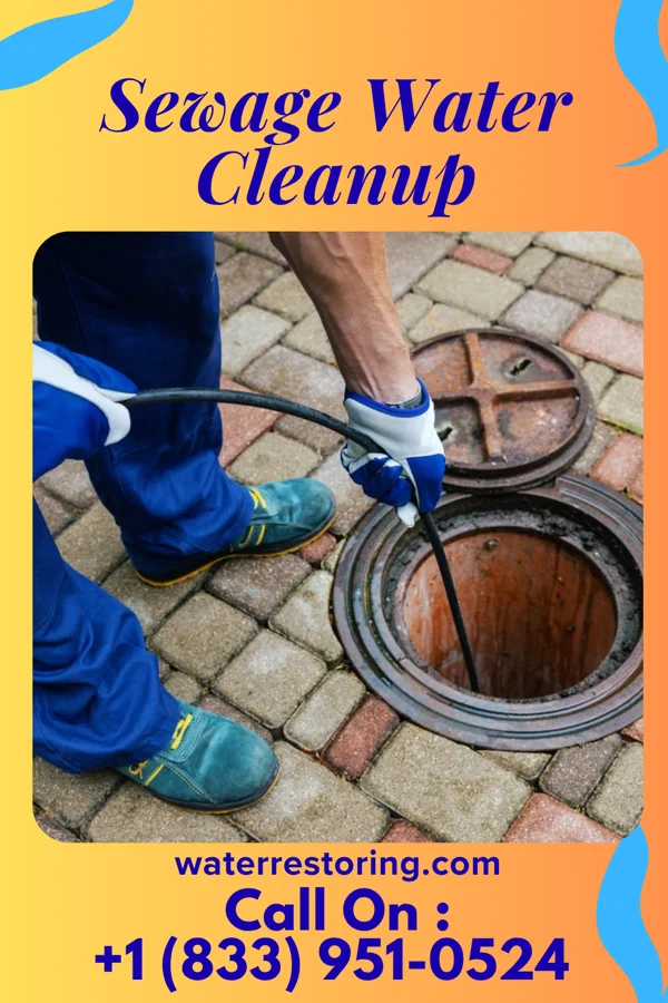 Sewage Water Cleanup in Mount Olive, MS