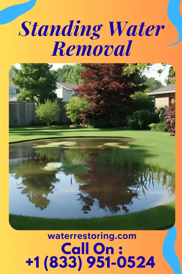 Standing Water Removal in Mount Olive, MS